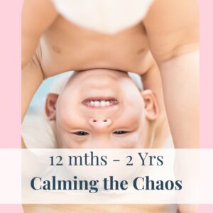 Calming the Chaos (12 mts -2 Yrs) Program Membership